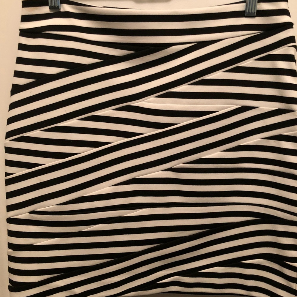 EUC Express Skirt